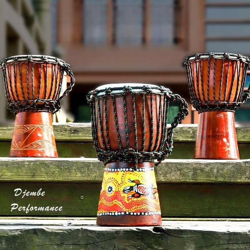 Musical Instrument African - Tamburo Africano per Bambini Principianti, Djembe