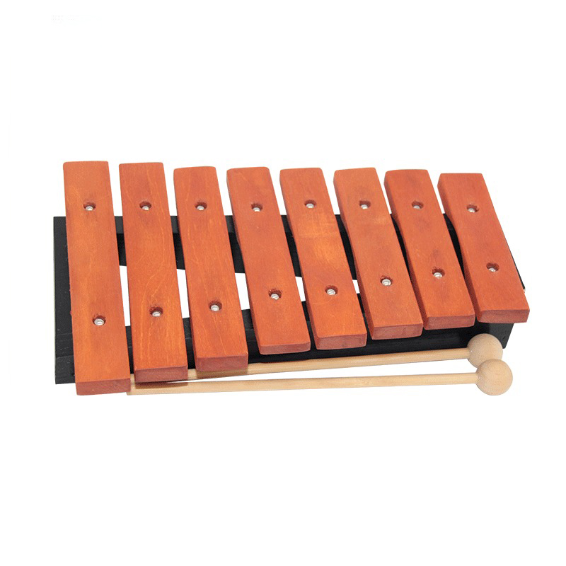 Xilofono a 8 note per bambini  - Musical Instrument Xylophone recensione e prezzo