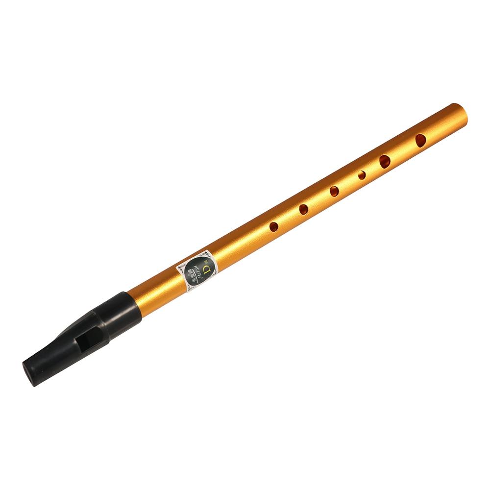 Accessori Musicali, Flauto Irl - Musical Instrument Flute recensione e prezzo